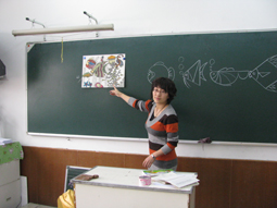 你知道多少鱼的画法？