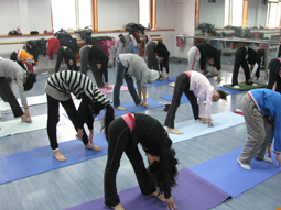 塑造良好身姿从少儿瑜伽开始