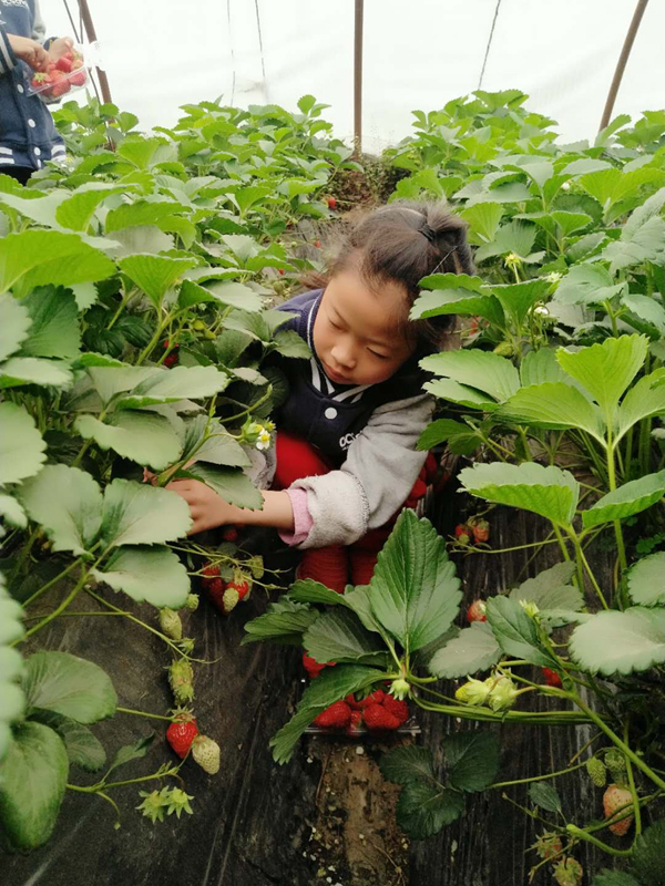 微信图片_20190423085144.jpg