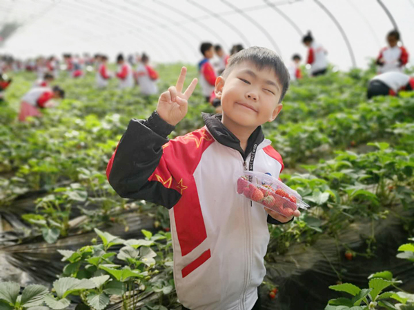 微信图片_20190424083848.jpg
