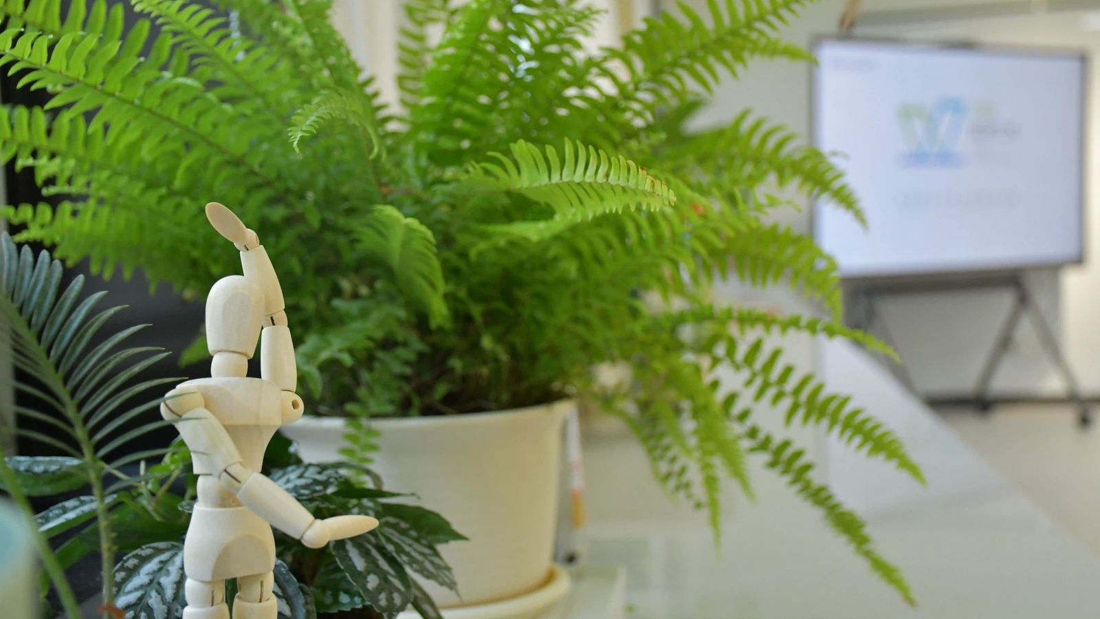 工坊展示台上的木质关节人偶