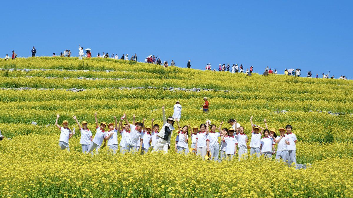 温榆河实践活动中学生在油菜花田合影